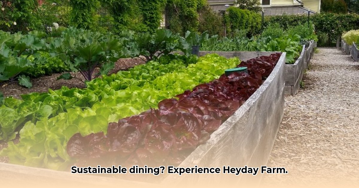heyday-farm